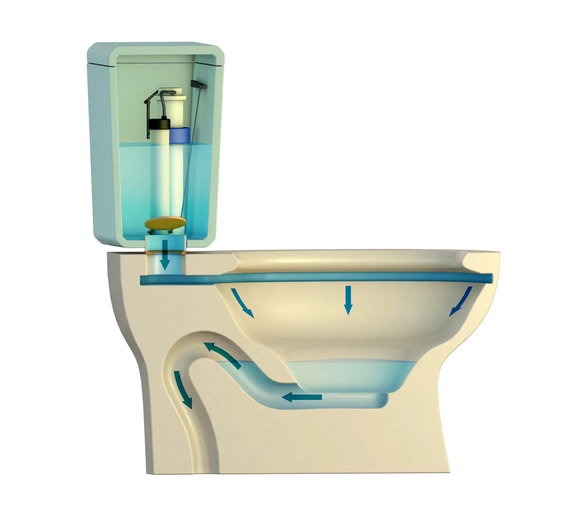 Cross-section-of-a-toilet-showing-how-the-flushing-system-works-Digital-illustration